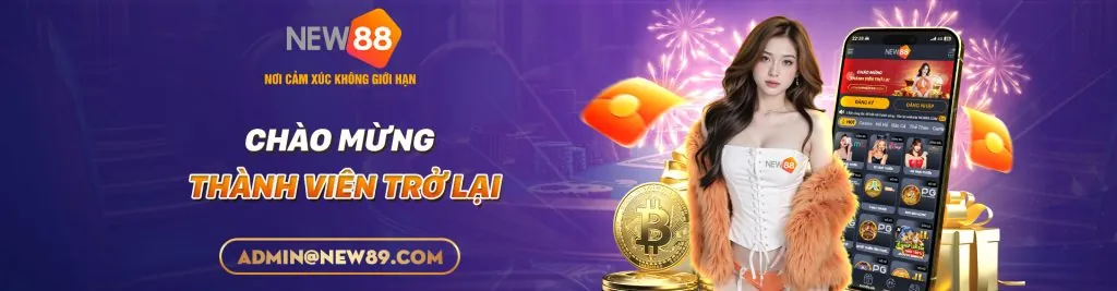 Bảo mật VN333